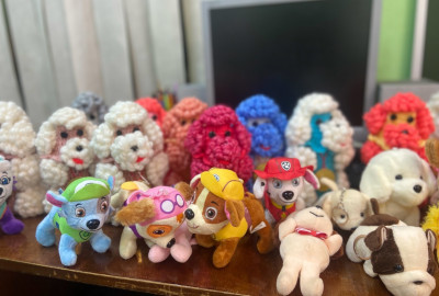 XXX Открытый городской конкурс исполнительского мастерства "Музыкальный пудель"