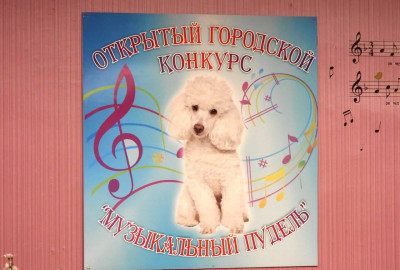XXIX Открытый городской конкурс начинающих исполнителей на народных инструментах и блок-флейте "Музыкальный пудель"